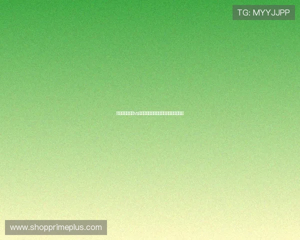 世界杯厄瓜多尔vs德国比赛阵容预测及比赛前瞻与战术布局